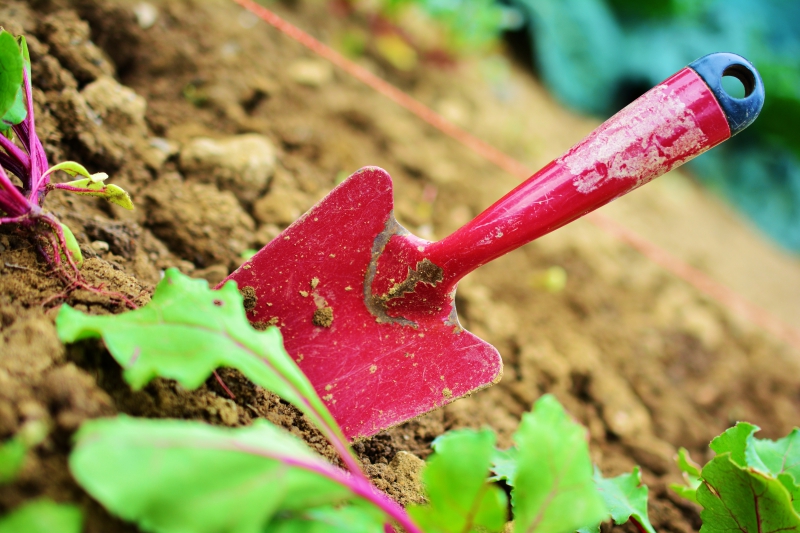 jardinerie-ST ANTONIN DU VAR-min_gardening-2448134